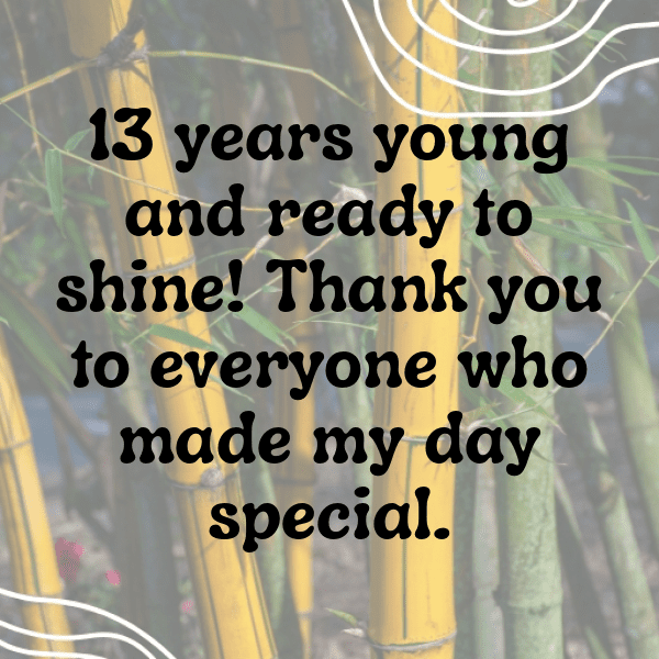 11th Birthday Captions Photo For Instagram-KUSYyT