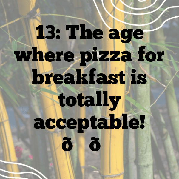 13th Birthday Captions Photo For Instagram-JtD8wA