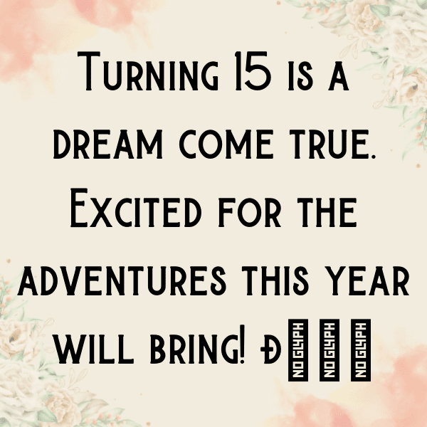 15th Birthday Captions Photo For Instagram-BlMRhV