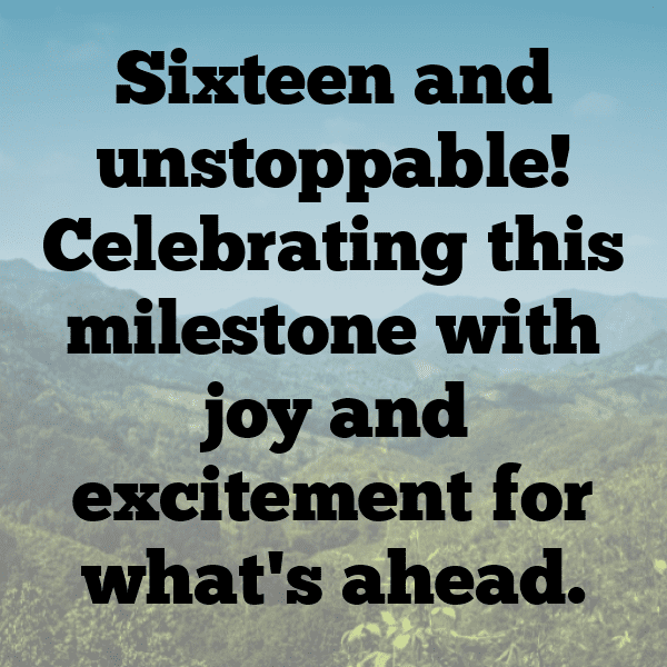 16th Birthday Captions Photo For Instagram-L4xb3W