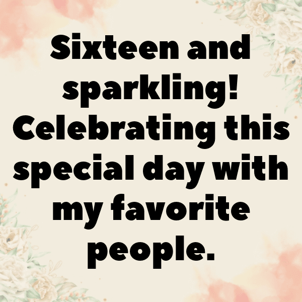 16th Birthday Captions Photo For Instagram-Pbub0i