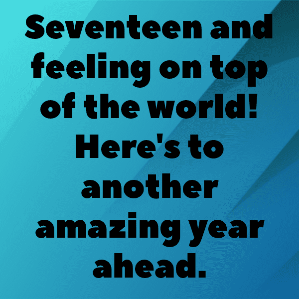 17th Birthday Captions Image For Instagram-ajrbG6