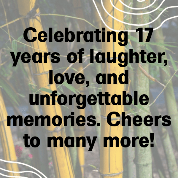 17th Birthday Captions Photo For Instagram-43qEdk