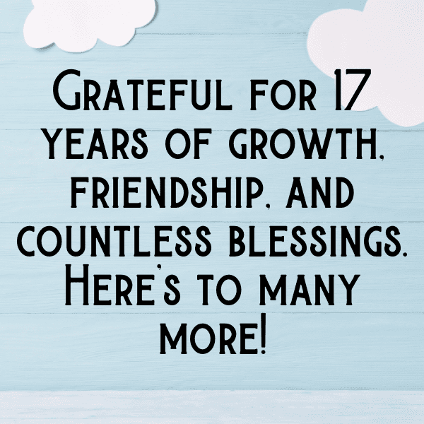 17th Birthday Captions Photo For Instagram-Wey3qe