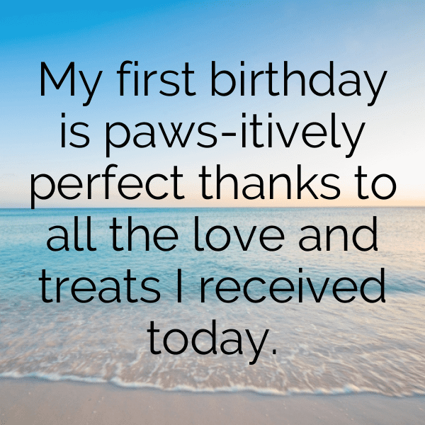 1st Birthday Captions Image For Instagram-dFpdLl