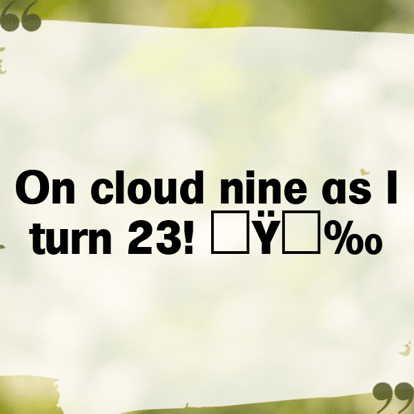 23rd Birthday Captions Photo For Instagram-twDesA