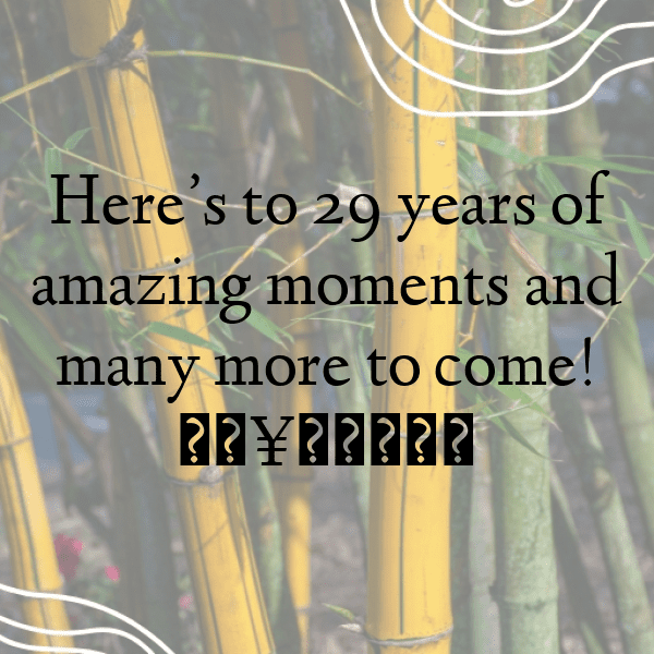 26th Birthday Captions Photo For Instagram-OIUK3f