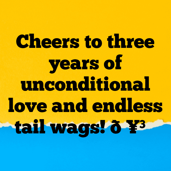 3rd Birthday Captions Photo For Instagram-2A5nl4