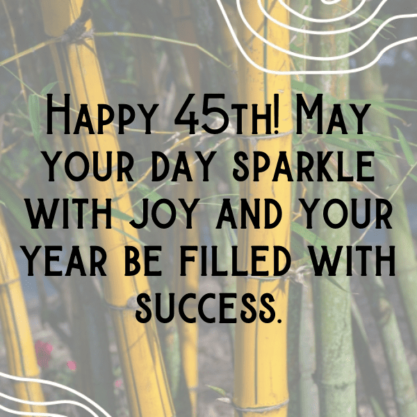 45th Birthday Captions Photo For Instagram-QNYWSN