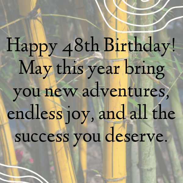 48th Birthday Captions Photo For Instagram-3U791i