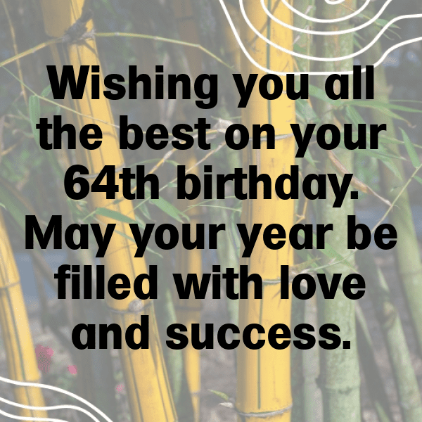 64th Birthday Captions Photo For Instagram-mO0S5V