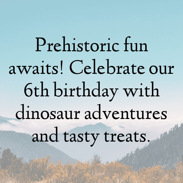 6th Birthday Captions Image For Instagram-54266D