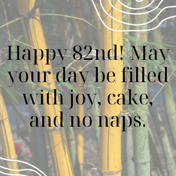 82nd Birthday Captions Photo For Instagram-0slN7p