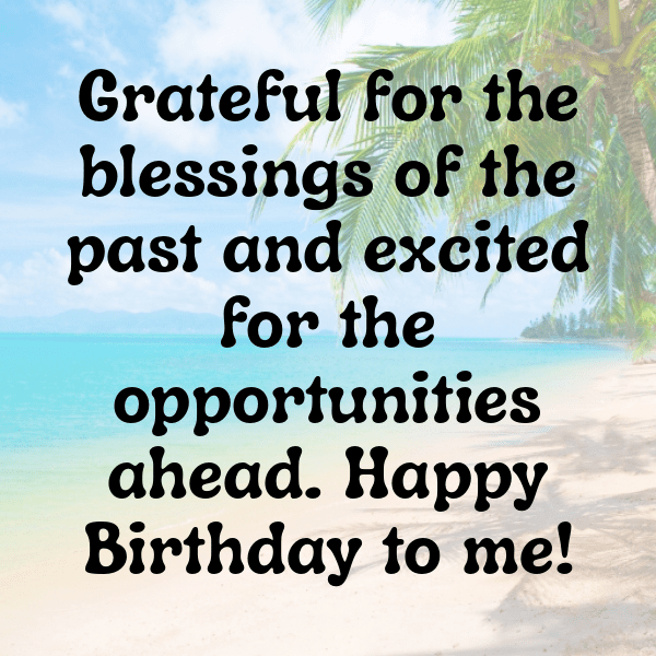 95th Birthday Captions Image For Instagram-v6uHJ9