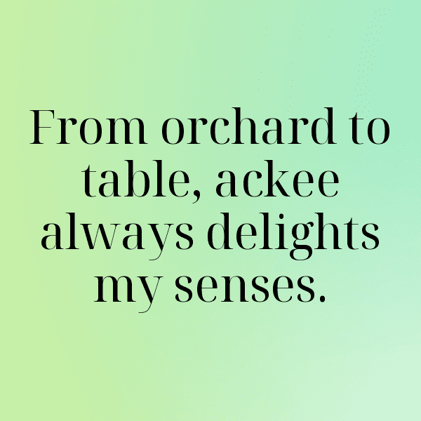 Ackee Captions Photo For Instagram-5YP6qw