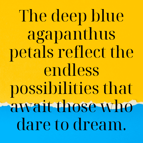 Agapanthus Captions Image For Instagram-NiN90Y