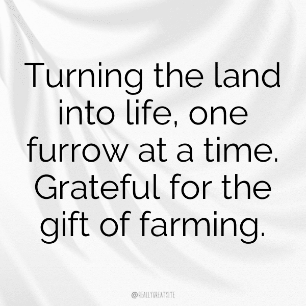 Alfalfa Sprouts Captions Image For Instagram-mWs7nI