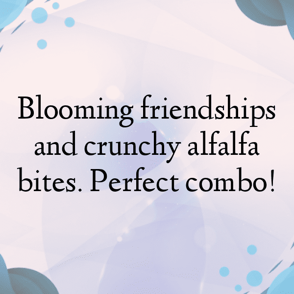 Alfalfa Sprouts Captions Photo For Instagram-f1zJJc