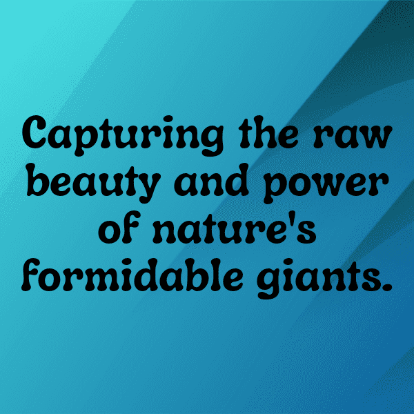 Alligator Captions Image For Instagram-oqubkq