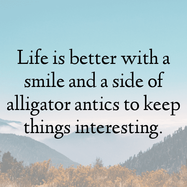 Alligator Captions Photo For Instagram-hrAecz