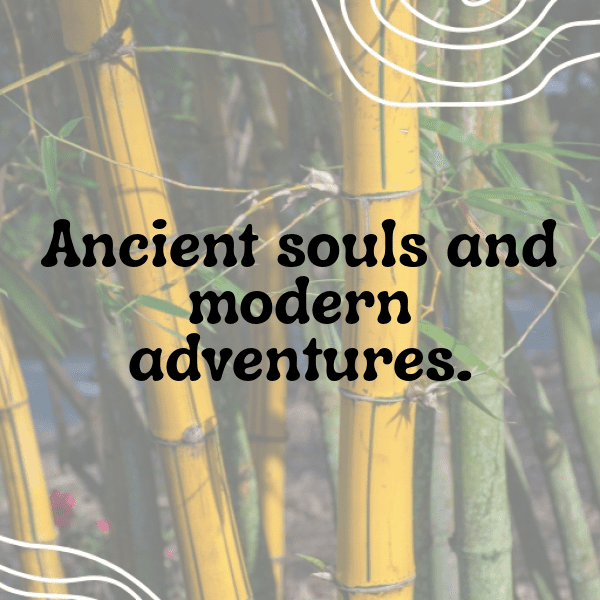 Alligator Captions Photo For Instagram-JbGOoF