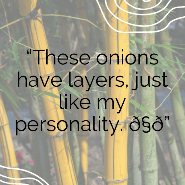 Allium Captions Photo For Instagram-sTqpm7