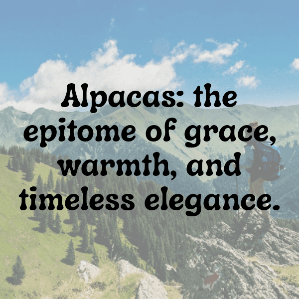 Alpaca Captions Image For Instagram-24nHqq