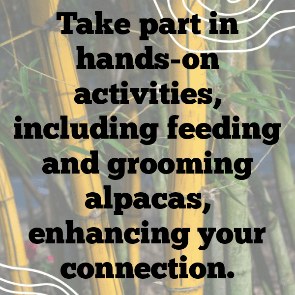 Alpaca Captions Photo For Instagram-J0mosf