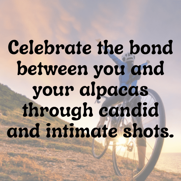 Alpaca Captions Photo For Instagram-k11LE3