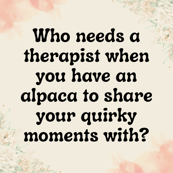 Alpaca Captions Photo For Instagram-xo34gx