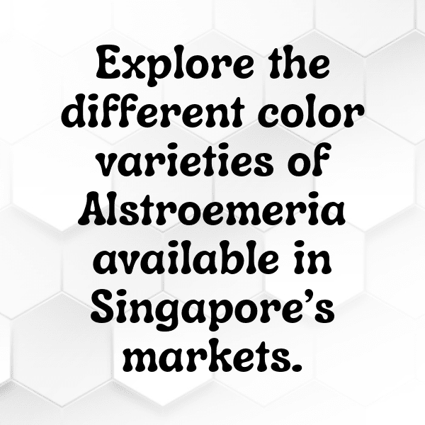 Alstroemeria Captions Image For Instagram-dRYOT3