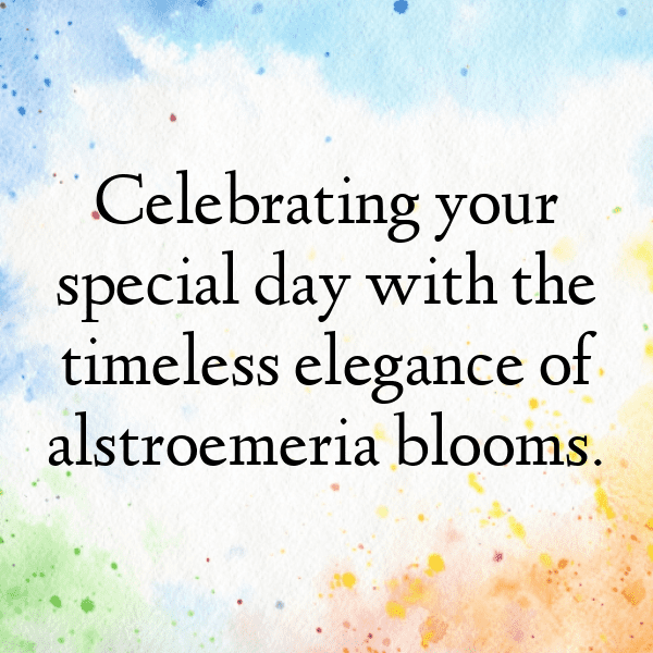 Alstroemeria Captions Image For Instagram-Iduxcn