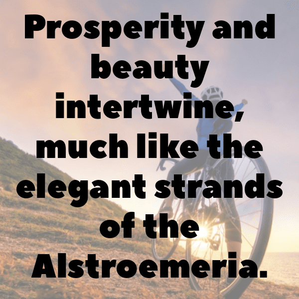 Alstroemeria Captions Photo For Instagram-oW1veE
