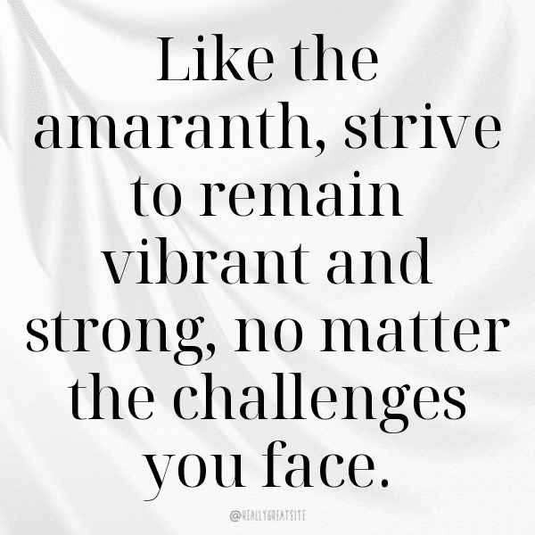 Amaranth Captions Photo For Instagram-AgRxEm