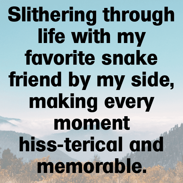 Anaconda Captions Photo For Instagram-4jmh6o