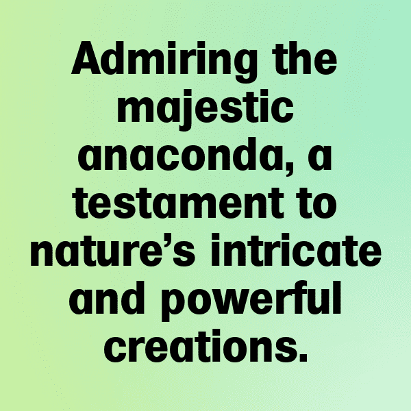 Anaconda Captions Photo For Instagram-HuHBli