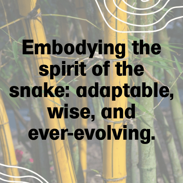 Anaconda Captions Photo For Instagram-OJG6ag