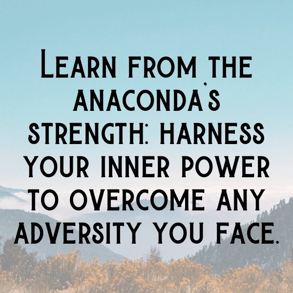 Anaconda Captions Photo For Instagram-TbARNA