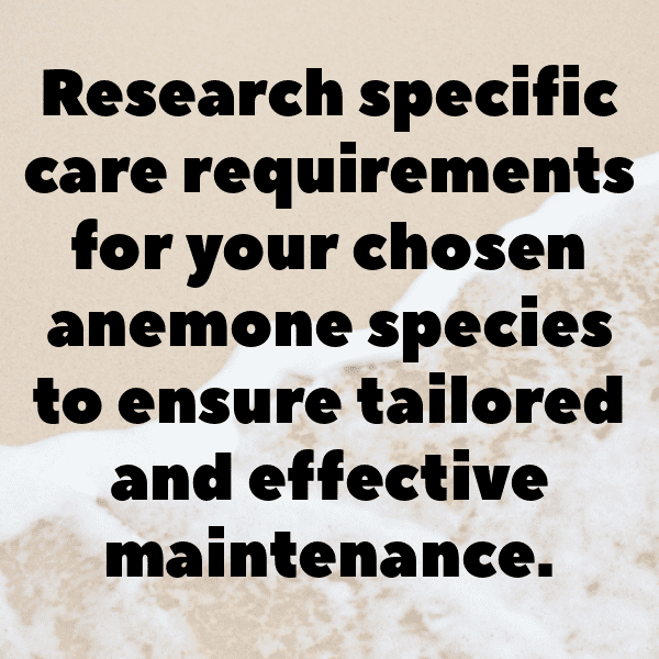 Anemone Captions Image For Instagram-UuGhp7