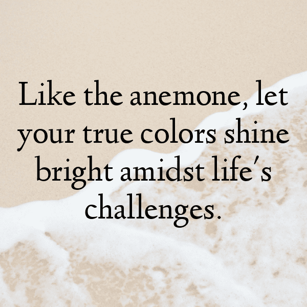 Anemone Captions Photo For Instagram-uvhLAF