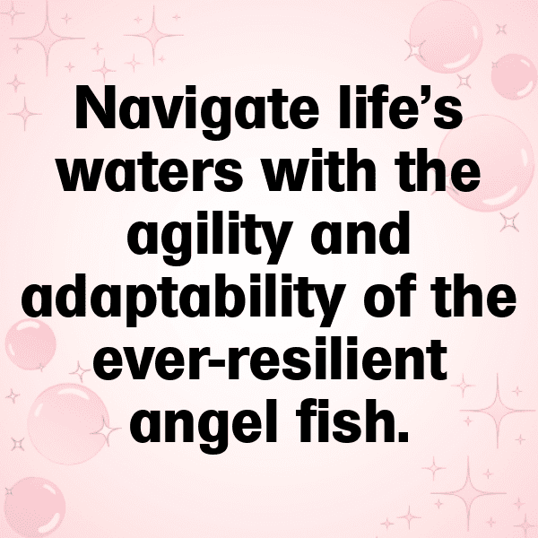 Angelfish Captions Image For Instagram-irFp1X