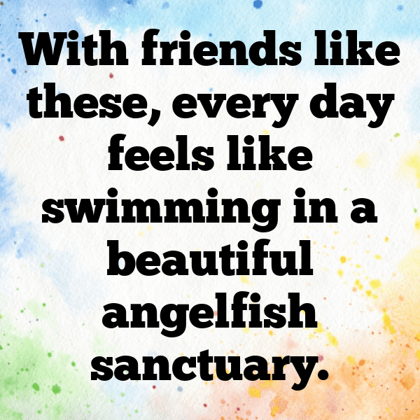 Angelfish Captions Image For Instagram-jXaFHc