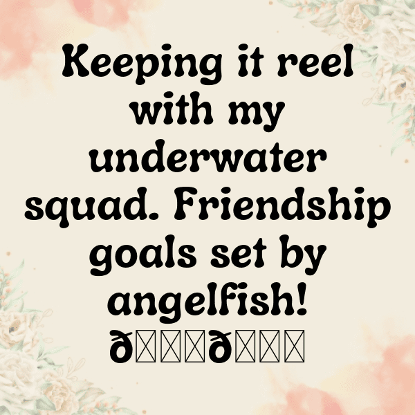 Angelfish Captions Image For Instagram-prYriD