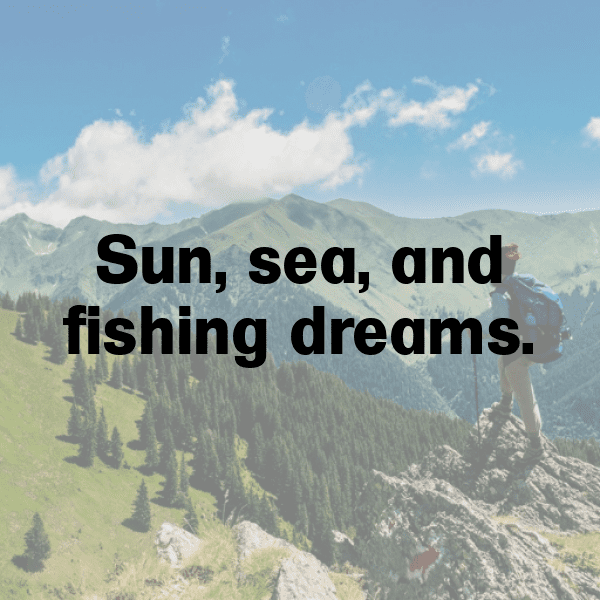 Angelfish Captions Photo For Instagram-AQYB3p