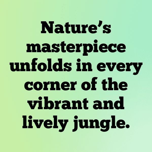 Angola Captions Image For Instagram-IqEWyB