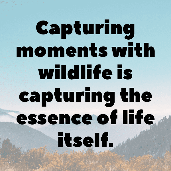 Angola Captions Image For Instagram-nli0vw