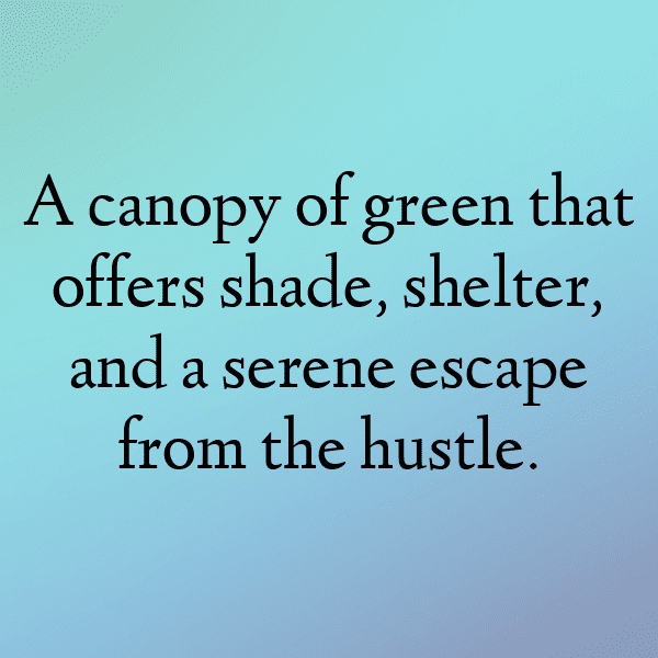 Angry Birds Captions Image for Instagram-h93qez