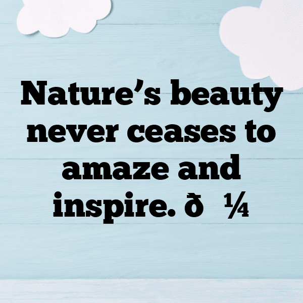 Animal Crossing Captions Image for Instagram-bntukA