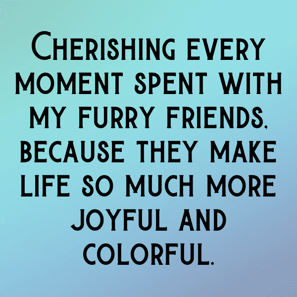 Animal Crossing Captions Image for Instagram-ruMQnP