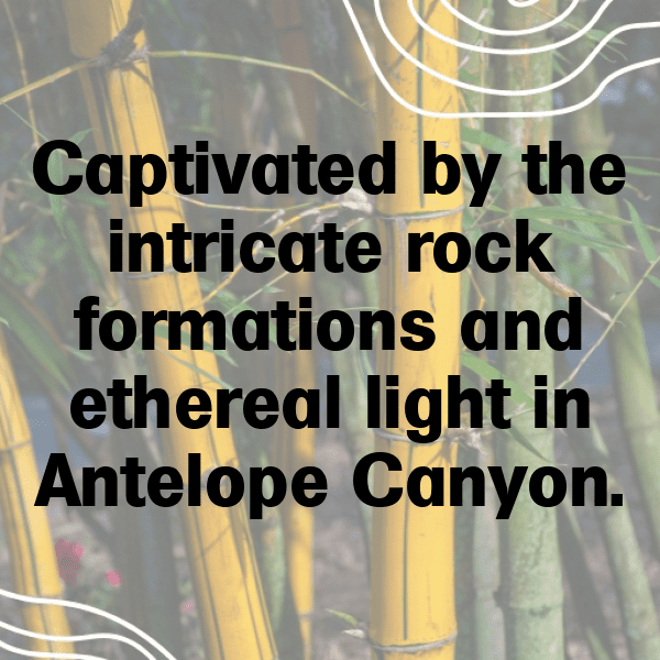 Antelope Captions Image For Instagram-cfE0Do